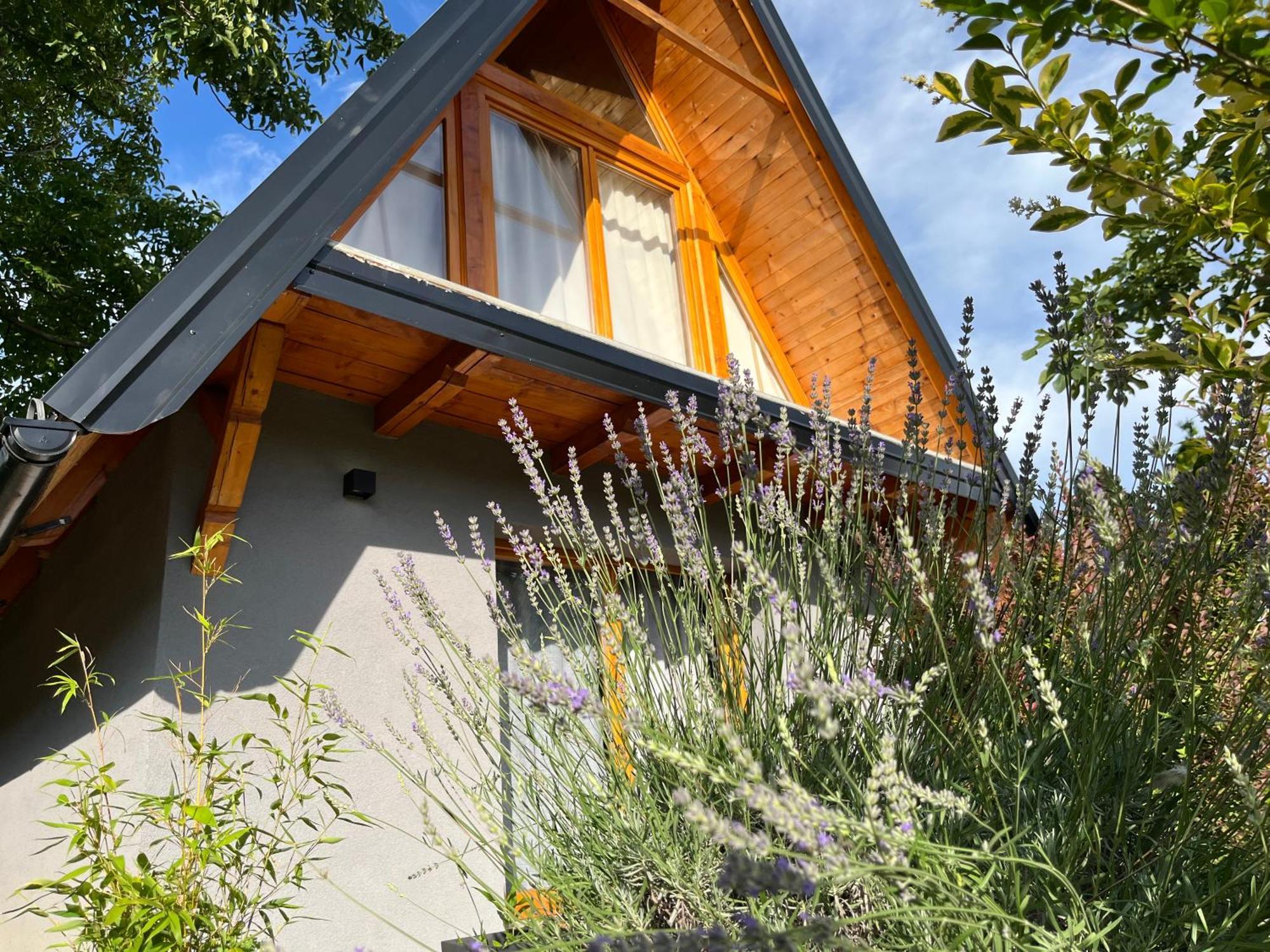 Petrovaradin Chalet โนวีซาด ภายนอก รูปภาพ